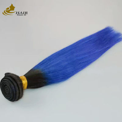 Девушка сырая бразильская тень расширения человеческих волос пучки синий 1B